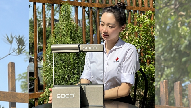 LAN CAN NHÔM KHÔNG TRỤ PHỦ FLUOROCARBON MÀU CHAMPAGNE